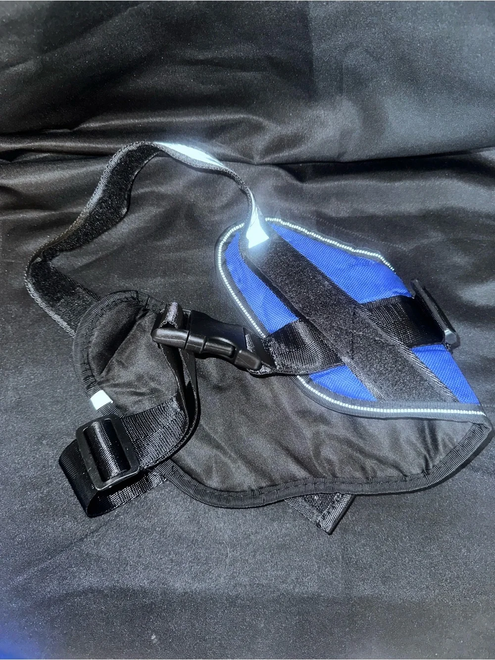 # Blue Dog Harness with Reflective Trim - Size Medium